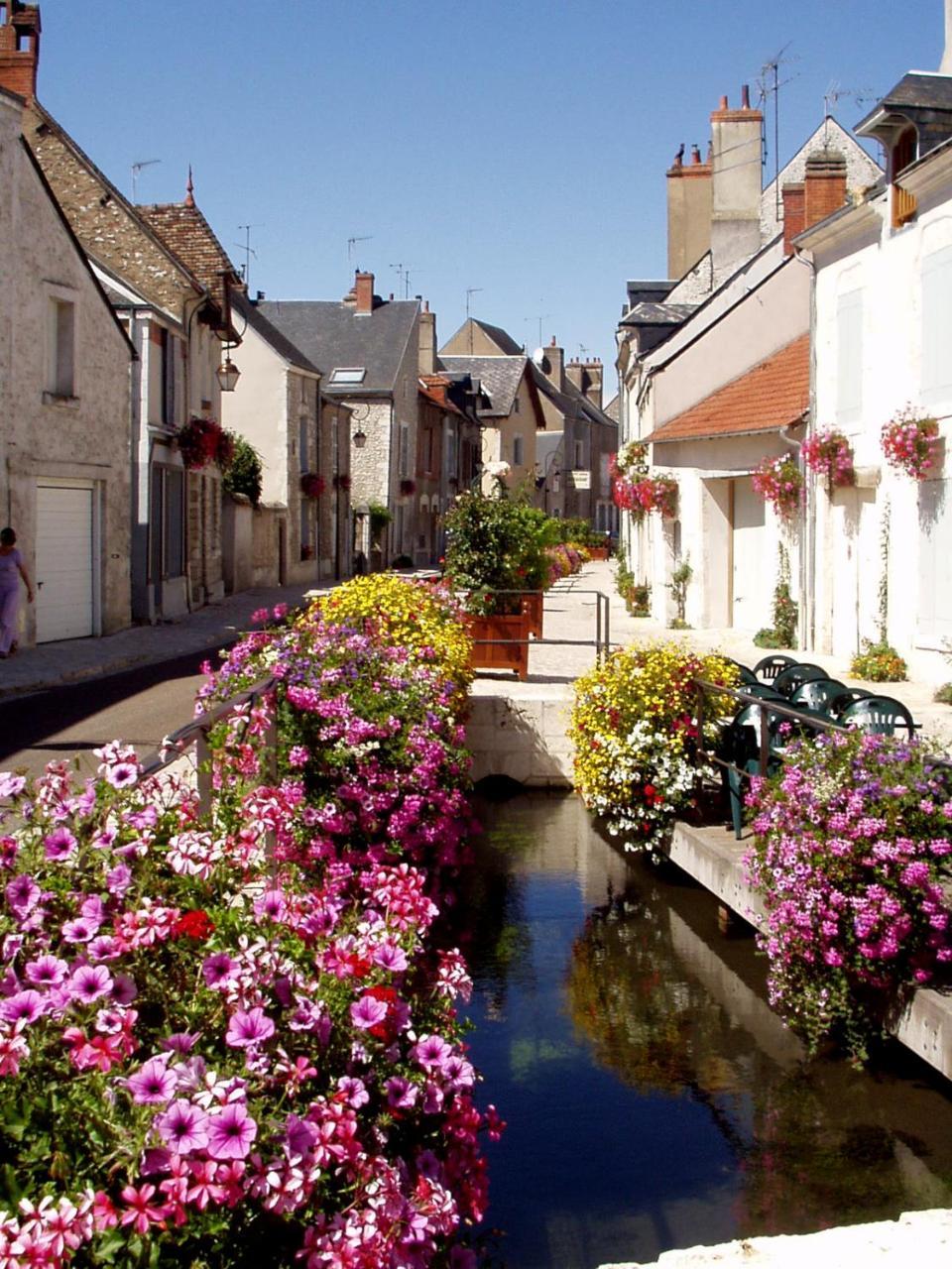 Hotel L'écu de Bretagne à Beaugency Extérieur photo